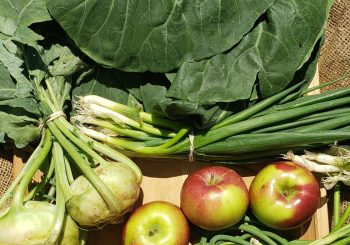 Kohlrabi, Apple, and Collard Green Salad