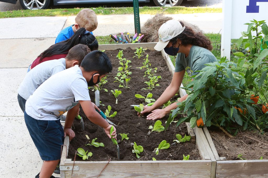 kids gardening and cooking